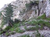 Lago Scin - Rifugio Faloria